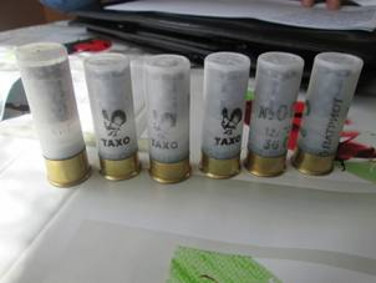 Закарпатський браконьєр підстрелив дитину, яка збирала у лісі гриби