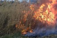 На Харківщині внаслідок випалювання сухої трави загорілися два сараї та будинок