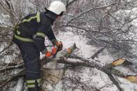 Три зламані дерева перегородили дорогу на Вінниччині