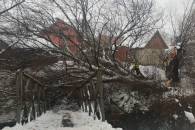 У Хусті дерево зруйнувало пішохідний міст через ріку (ФОТО)