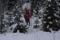Закарпатські рятувальники розшукують у горах заблукалу туристку