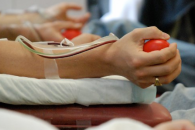 На Закарпатській станції переливання крові закінчуються запаси крові