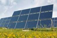На Одещині побудують сонячну електростанцію на площі у 50 га