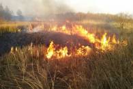 В Роздільнянському районі дві пожежі знищили 6,5 гектарів рослинності