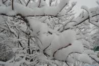 Одеситам обіцяють сніг у перший день зими