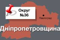 Округ №36: Кого Ахметов призначить наступним депутатом від Павлограду