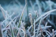 Буде зимно: На Закарпатті кілька днів триматимуться заморозки