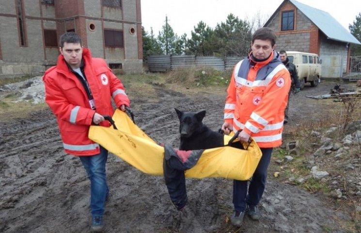 Бійці "Азову" у Широкино рятують підстрі…