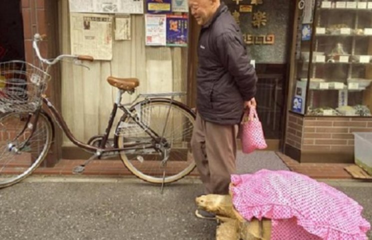 Стильний японський дідусь, який вигулює…
