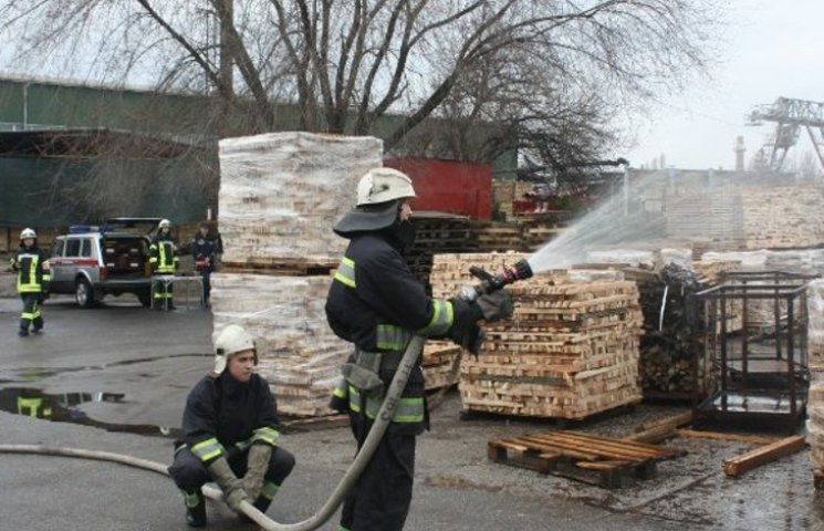 У Кіровограді навмисне підпалили деревоо…