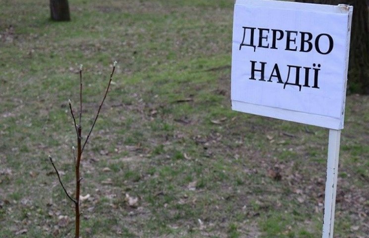 У Дніпропетровську "дерево Надії" вкрило…