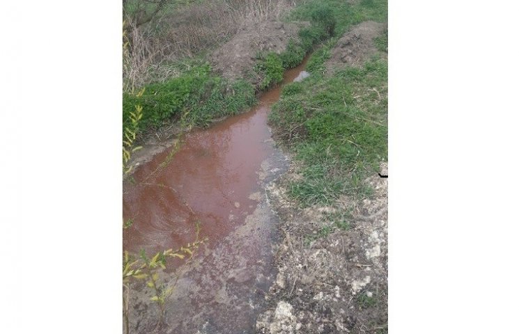 "Криваві" ріки на Тернопільщині виявилис…