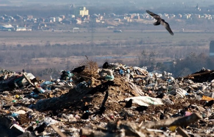 Стоковые фотографии по запросу Бомжи