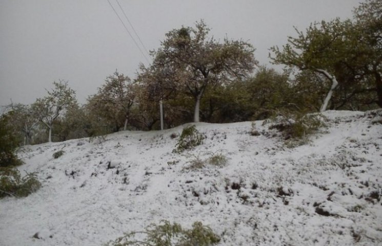 Гірські райони Закарпаття засипало сніго…