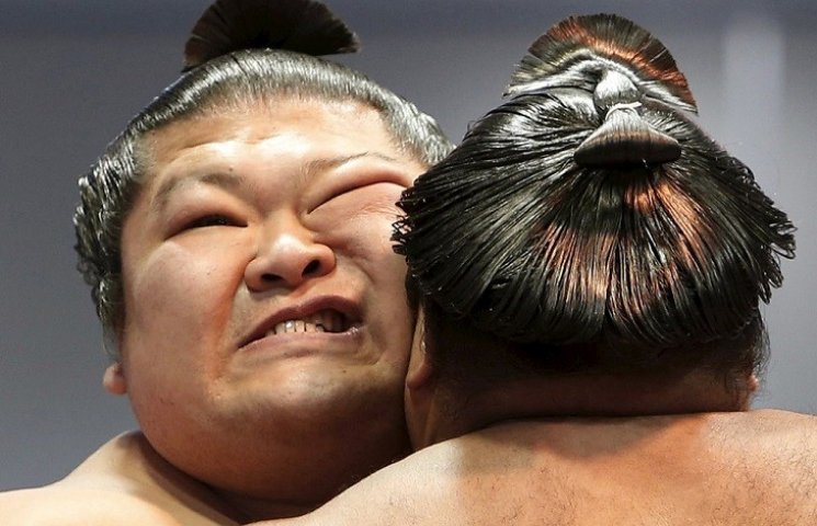 Как в Японии соревновались сумоисты…