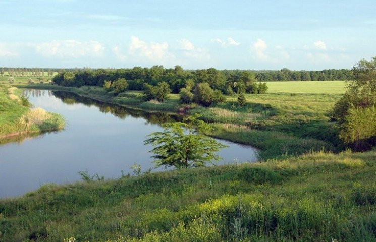 Річка у Новомиколаївському районі забруд…