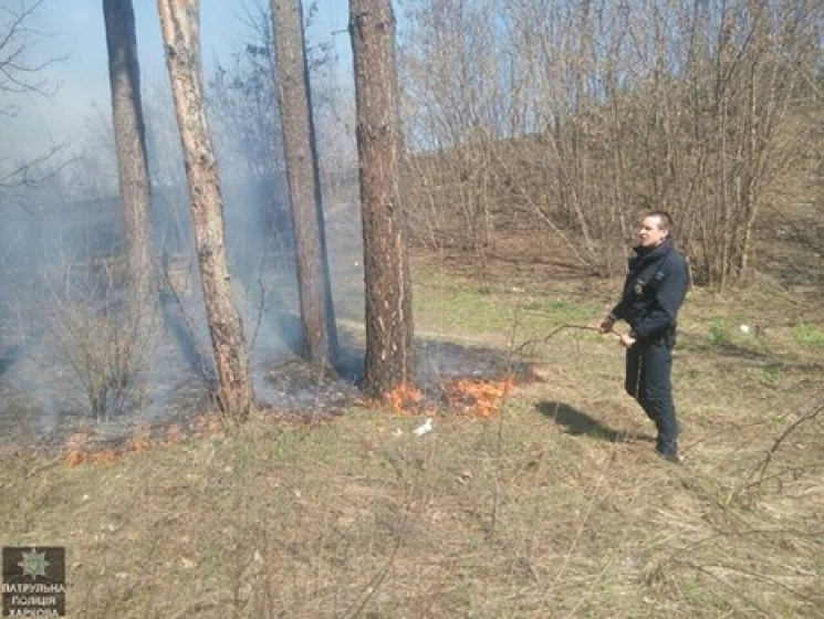 Харьковские патрульные спасли лес…