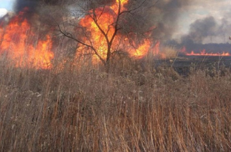 На Запоріжжі пожежі в екосистемах гасили…