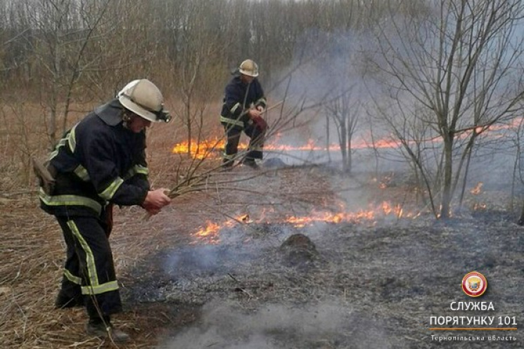Тернопільщину охопили масові пожежі сухо…