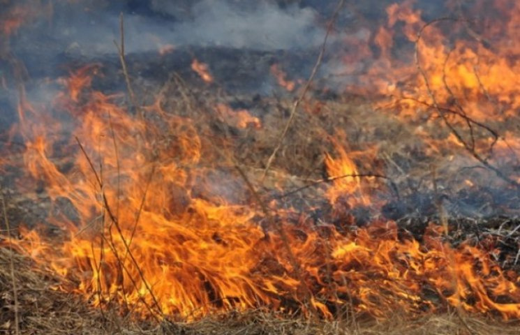 На Рахівщині ситуація з пожежами у лісах…