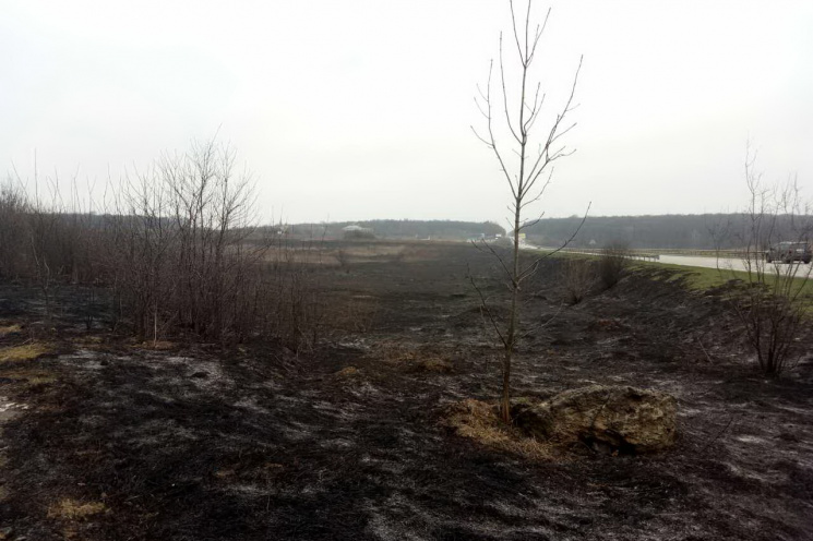 Харківщину охопили "трав&#039;яні" пожеж…