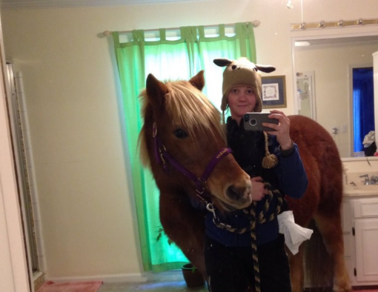 Девушка сделала селфи с лошадью в родите…