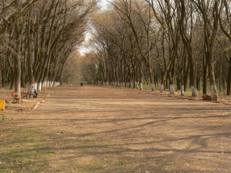 Боздоський парк в Ужгороді зроблять менш…