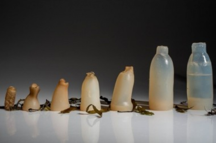 Вчені створили їстівні пляшки Ooho…