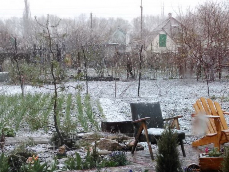 На Днепропетровщине выпал снег…