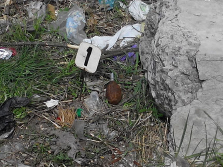 На Сумщині посеред вулиці знайшли гранат…