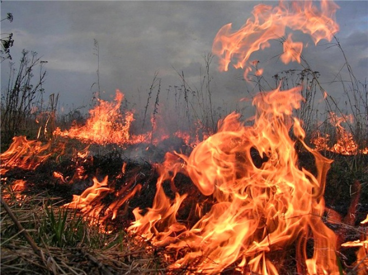На Черниговщине в траве сгорел мужчина…