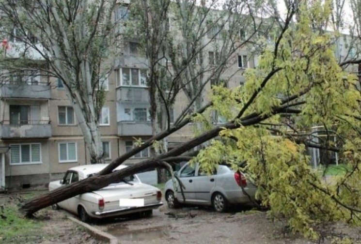 У Львові очікуються пориви вітру 15 – 20…