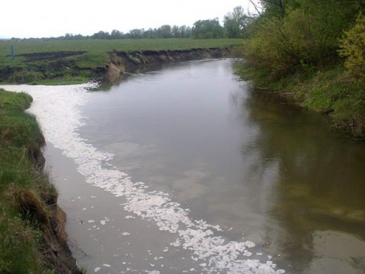 На Тернопільщині в річку потрапили тонни…