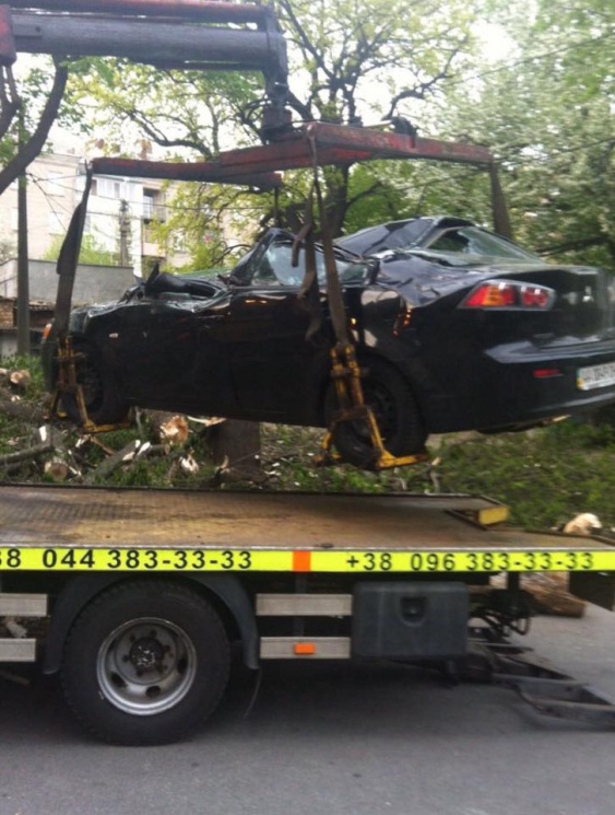 В Киеве огромное дерево раздавило автомо…