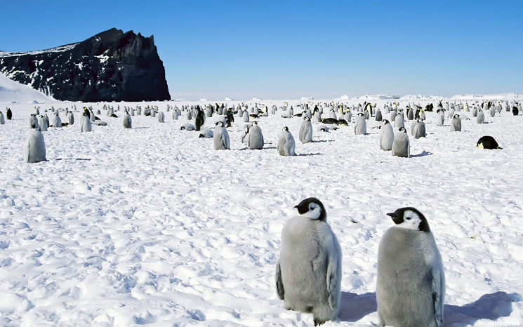 Чернігівець цілий рік буде жити в Антарк…