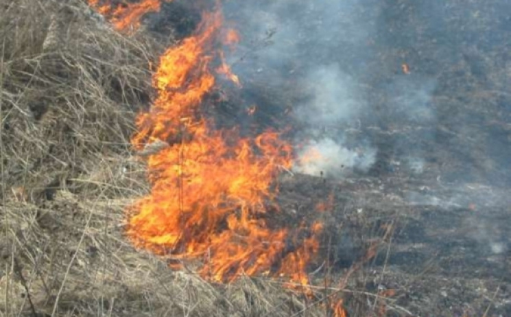 На Красилівщині під час спалювання трави…