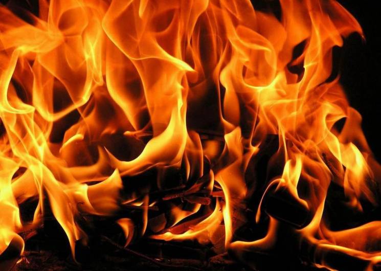 На Тернопільщині згоріло три тонни вжива…
