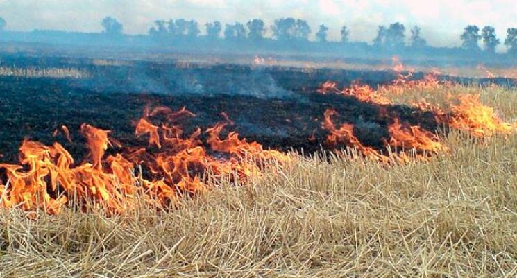 На Тернопільщині почався "сезон" пожеж у…