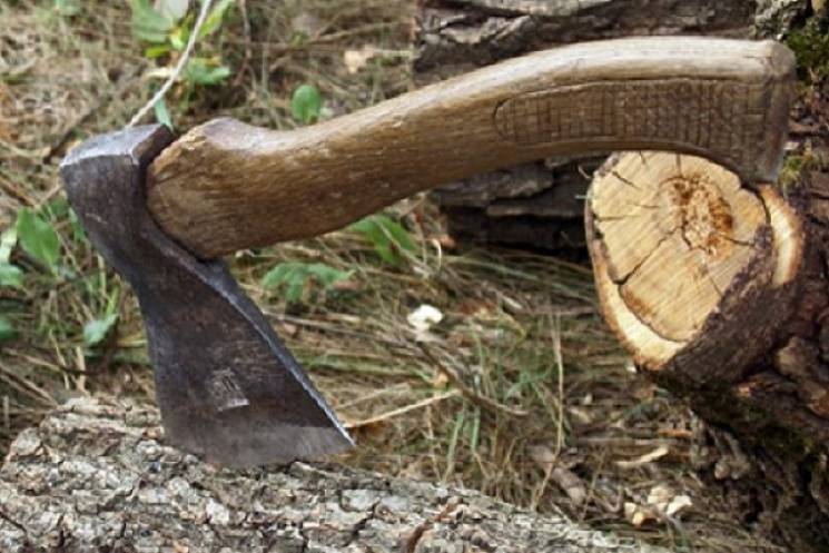 Житель Тернопільщини зрубав дерева у зап…
