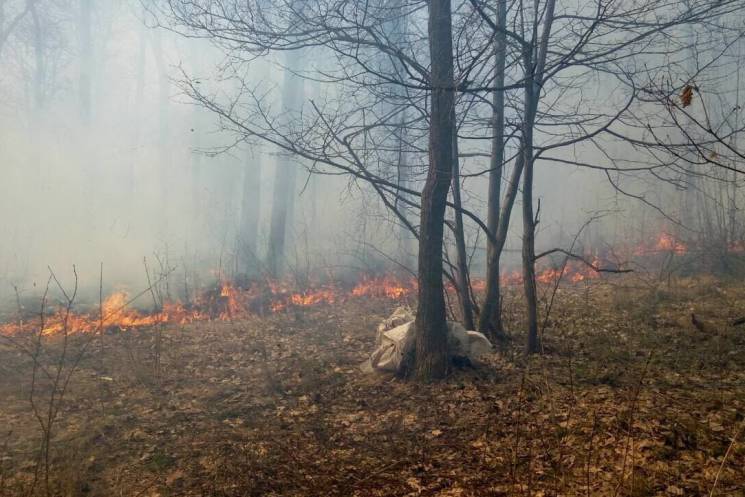 "Весняні" пожежі на Харківщині: Вогонь д…