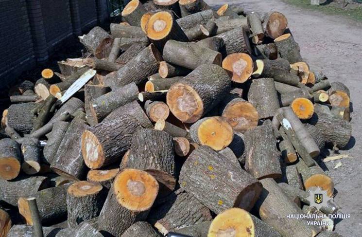 На Харківщині "вбивця лісу" спиляв дерев…