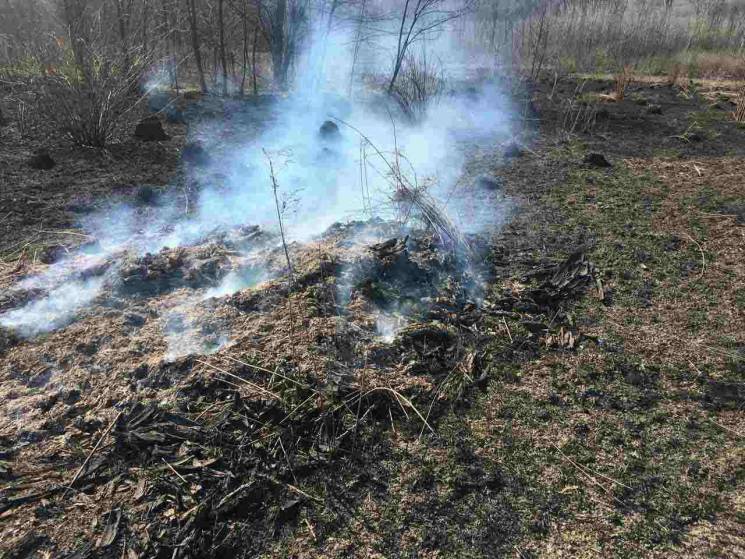 На Буковині сталася пожежа на сміттєзвал…