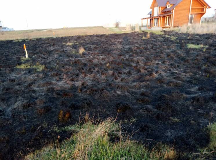 На Херсонщині гектарами палає суха трава…