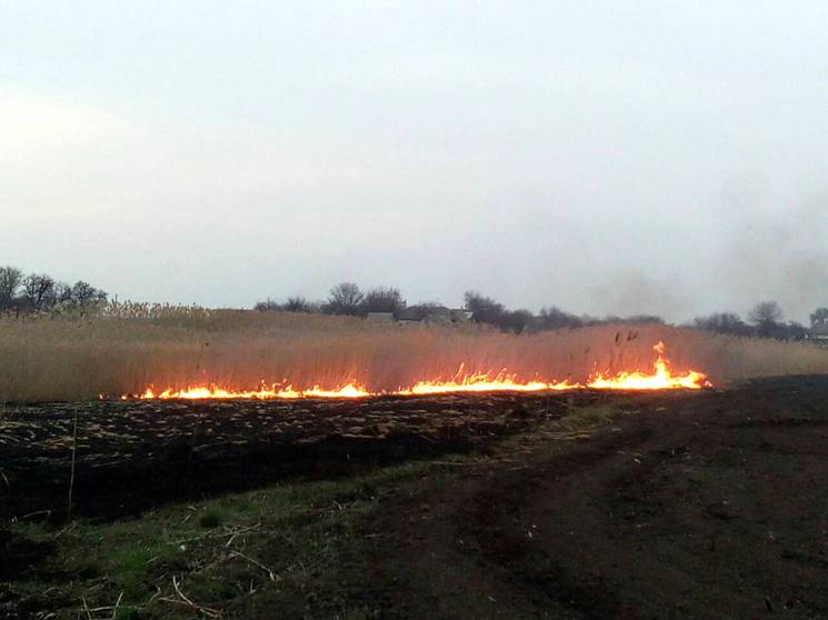 На Полтавщині тривають відкриті пожежі с…