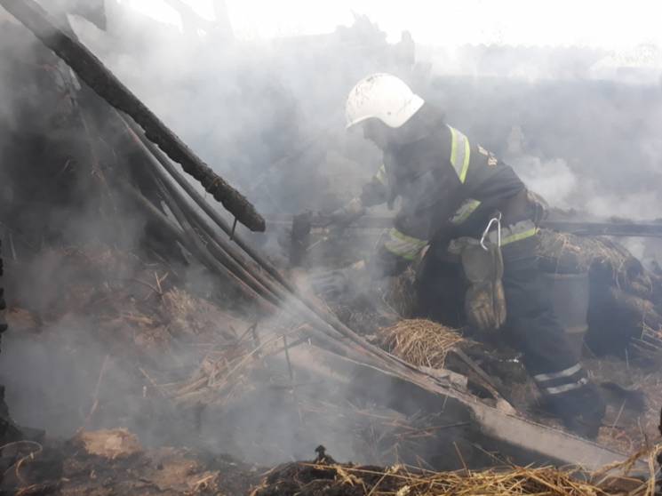 На Полтавщині пожежа знищила приватну бу…