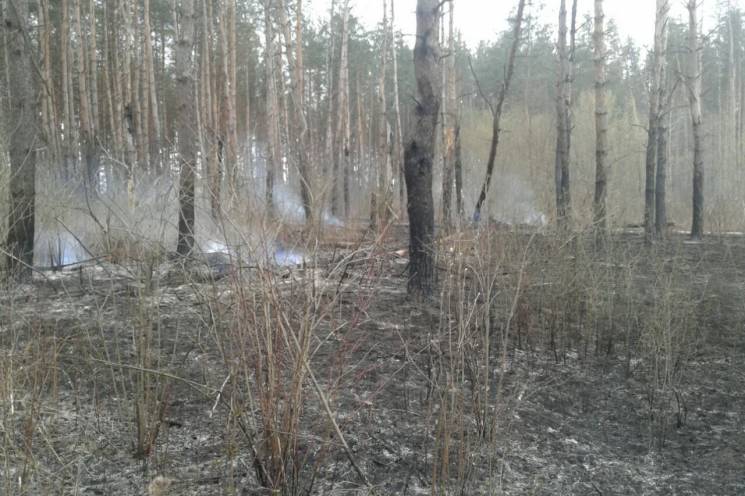 На Харківщині палії знищили понад 3 га м…