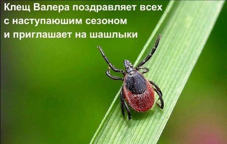 На Дніпропетровщині розпочався сезон клі…