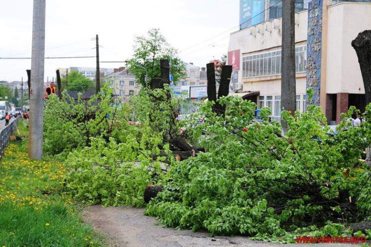 На Замостянській вулиці зрізали кілька д…