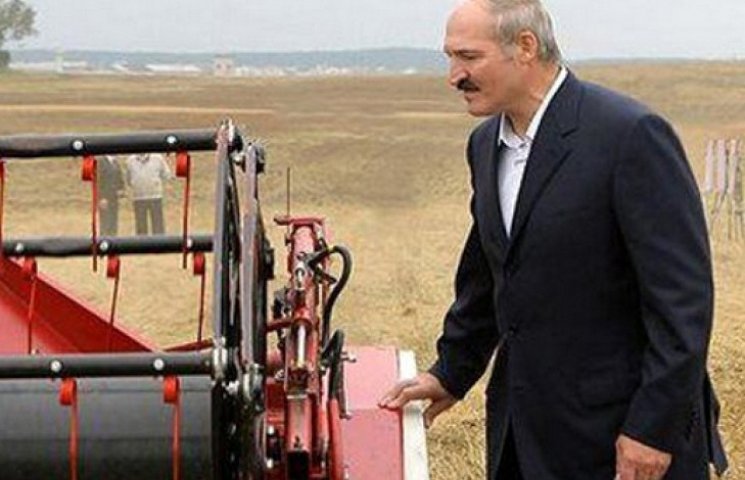 Лукашенко обіцяє допомогти Україні зібра…