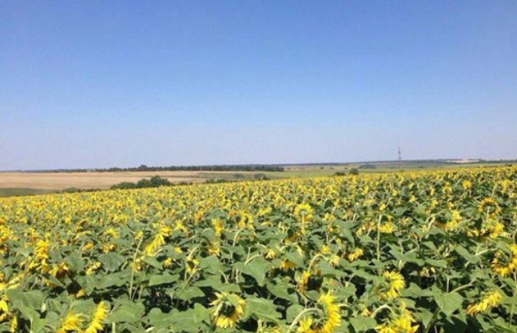 На Харківщині фермери захопили 400 га зе…